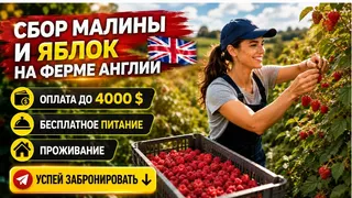 Рекламный креатив в Telegram Ads