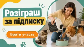 Ad creative on Telegram Ads