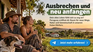 Рекламный креатив в Telegram Ads