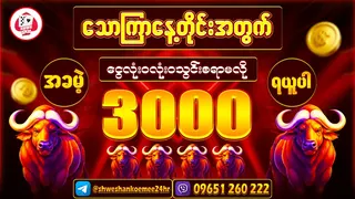 Ad creative on Telegram Ads @shwe_shan_koe_mee_24hr_bot