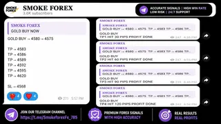 Ad creative on Telegram Ads