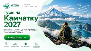 Рекламный креатив в Telegram Ads