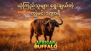 Ad creative on Telegram Ads @buffalo123bot