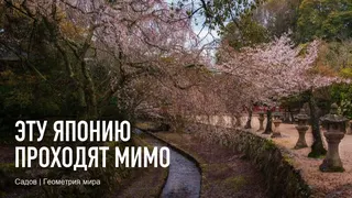 Рекламный креатив в Telegram Ads