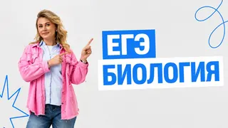 Рекламный креатив в Telegram Ads