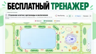 Creatividad publicitaria en Telegram Ads