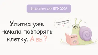 Creatividad publicitaria en Telegram Ads
