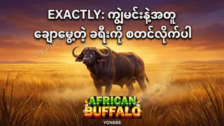 Ad creative on Telegram Ads @ygn688bot