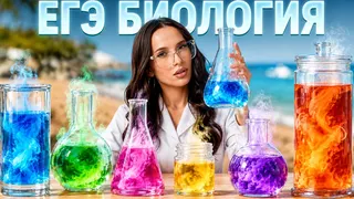 Рекламный креатив в Telegram Ads