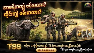 Рекламный креатив в Telegram Ads