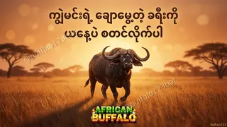 Creatividad publicitaria en Telegram Ads @buffalo123bot
