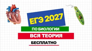 Рекламный креатив в Telegram Ads