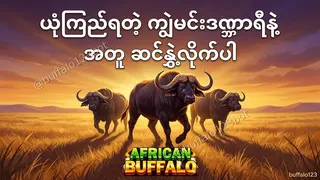 Ad creative on Telegram Ads @buffalo123bot