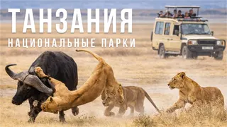 Ad creative on Telegram Ads