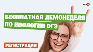 Рекламный креатив в Telegram Ads