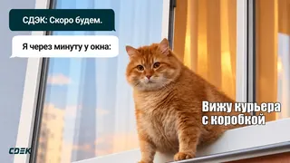 Рекламный креатив в Telegram Ads
