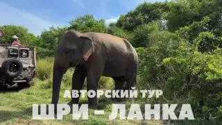 Ad creative on Telegram Ads