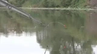 Рекламный креатив в Telegram Ads @fishing_zen