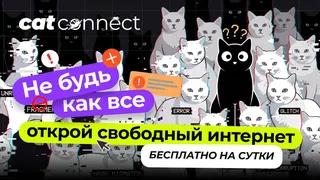 Ad creative on Telegram Ads