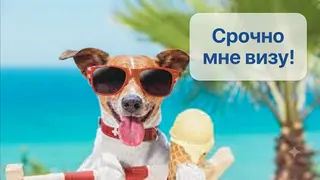 Ad creative on Telegram Ads