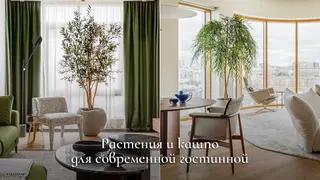 Ad creative on Telegram Ads @treezru