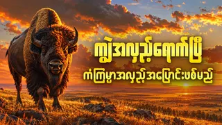 Рекламный креатив в Telegram Ads @shwetigerofficial