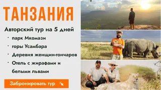 Ad creative on Telegram Ads