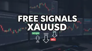 Ad creative on Telegram Ads