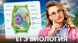 Рекламный креатив в Telegram Ads