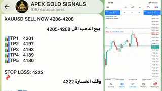 Ad creative on Telegram Ads