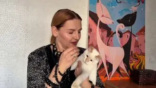 Рекламный креатив в Telegram Ads