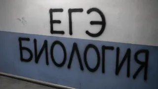 Рекламный креатив в Telegram Ads