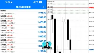 Creatividad publicitaria en Telegram Ads